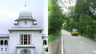 যশোর-নড়াইল সড়কে গাছ কাটার ওপর হাইকোর্টের স্থিতাবস্থা